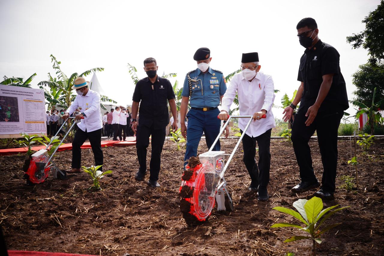 Aplikasikan metode tumpang sari, Wapres tanam jagung dan kedelai di Purwakarta Aplikasikan metode tumpang sari, Wapres tanam jagung dan kedelai di Purwakarta