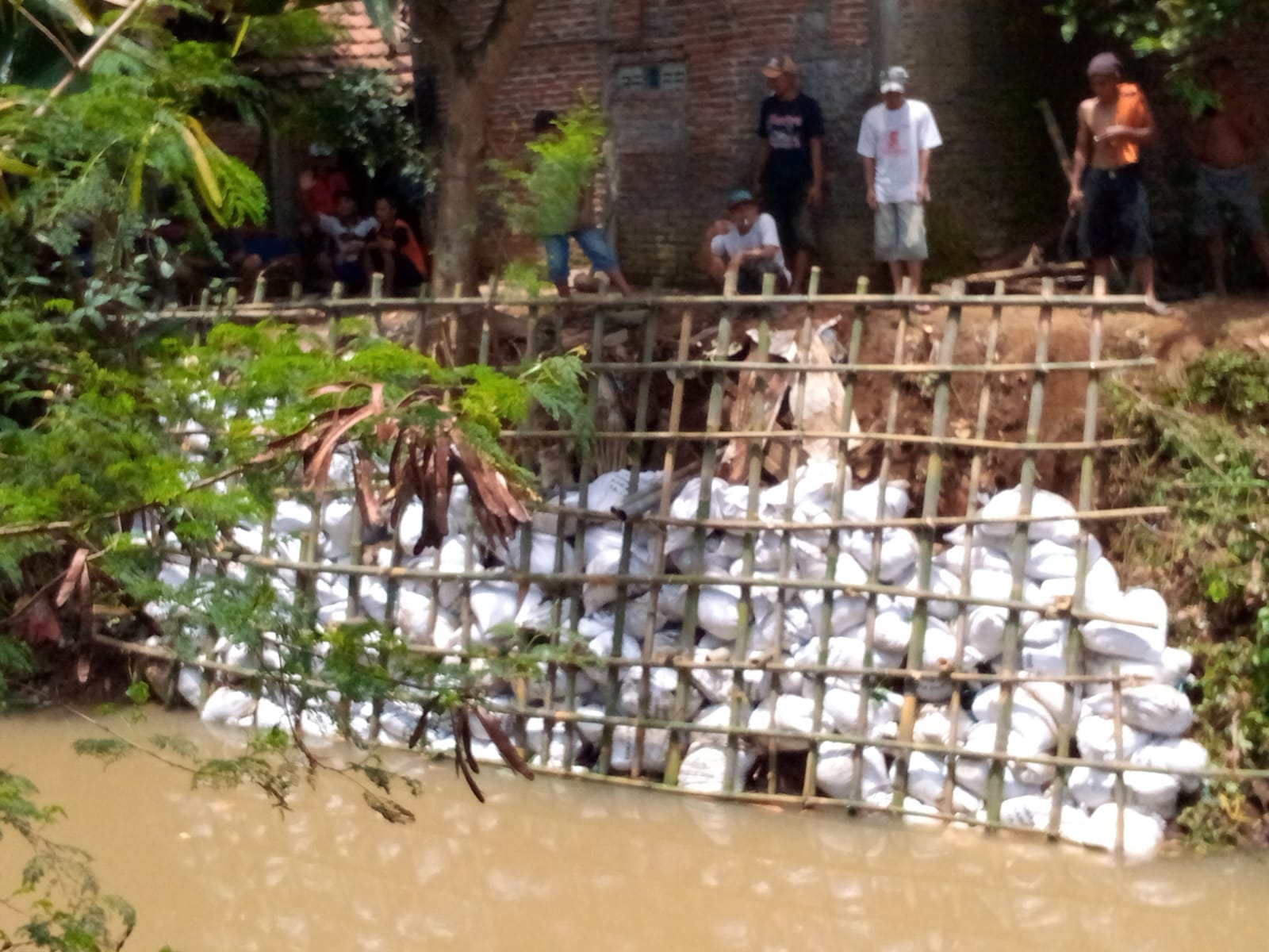 Tanggul sungai kritis, warga Ngembal Kulon Kudus gotong royong lakukan perbaikan pakai karung tanah Tanggul sungai kritis, warga Ngembal Kulon Kudus gotong royong lakukan perbaikan pakai karung tanah