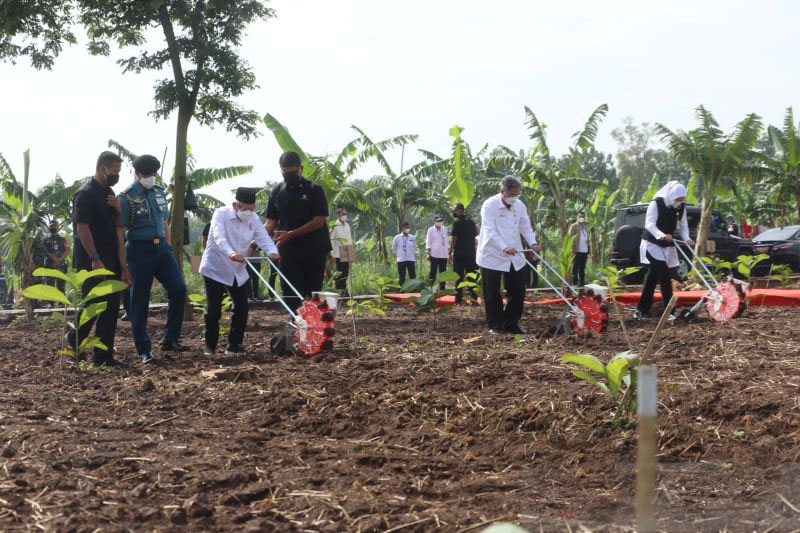 Bupati Purwakarta minta pusat izinkan garap lahan tidur Perhutani