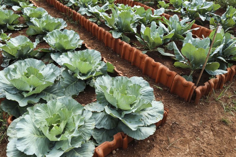 Bukan hal yang mustahil, bercocok tanam di daerah polusi tinggi