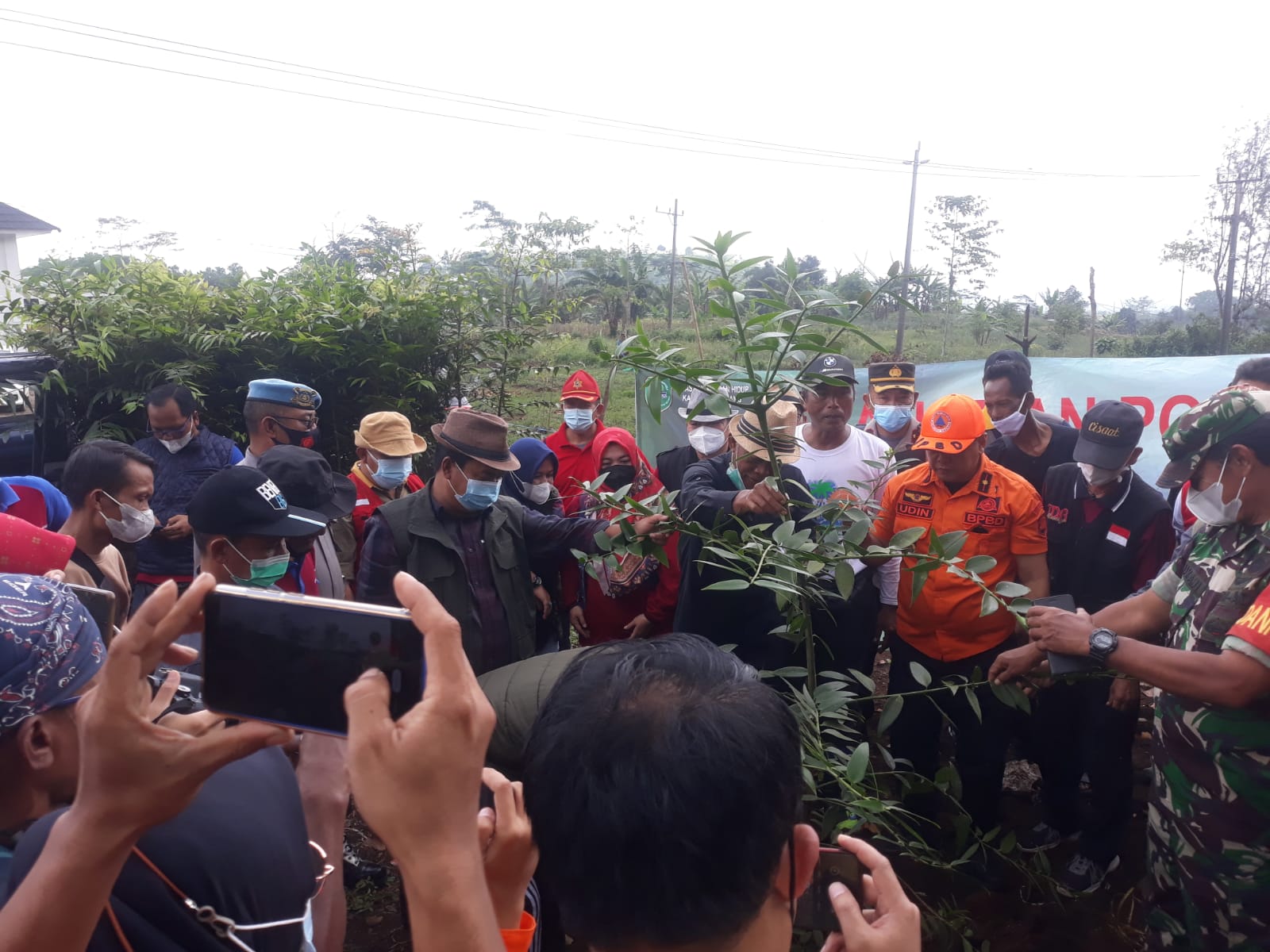 Pemkab Subang galakkan penanaman pohon hingga ke desa-desa Pemkab Subang galakkan penanaman pohon hingga ke desa-desa