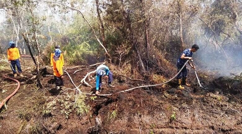 BPBD: Aceh Barat masih rawan terjadi kebakaran hutan dan lahan BPBD: Aceh Barat masih rawan terjadi kebakaran hutan dan lahan
