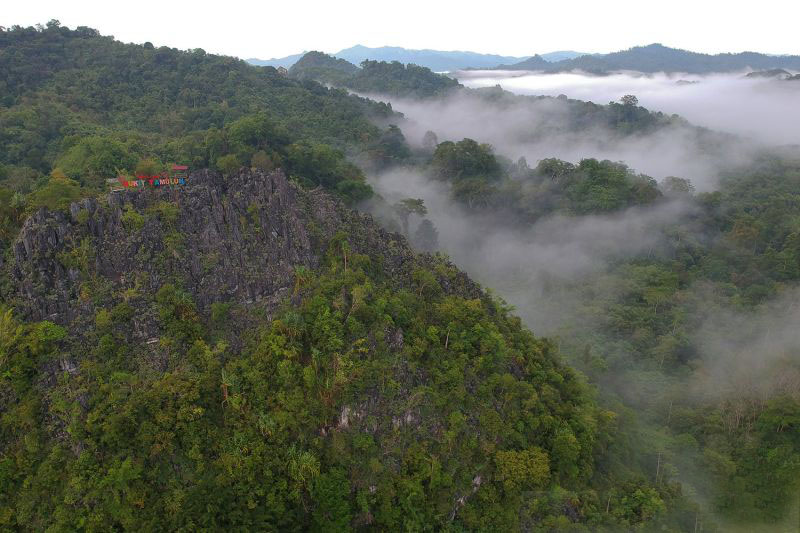 Bahlil cabut 15 izin konsesi kawasan hutan