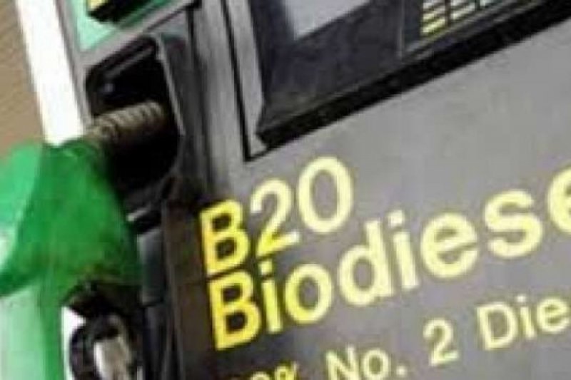 Ketua Komisi VII DPR usul Pertamina punya kebun sawit untuk biodiesel Ketua Komisi VII DPR usul Pertamina punya kebun sawit untuk biodiesel