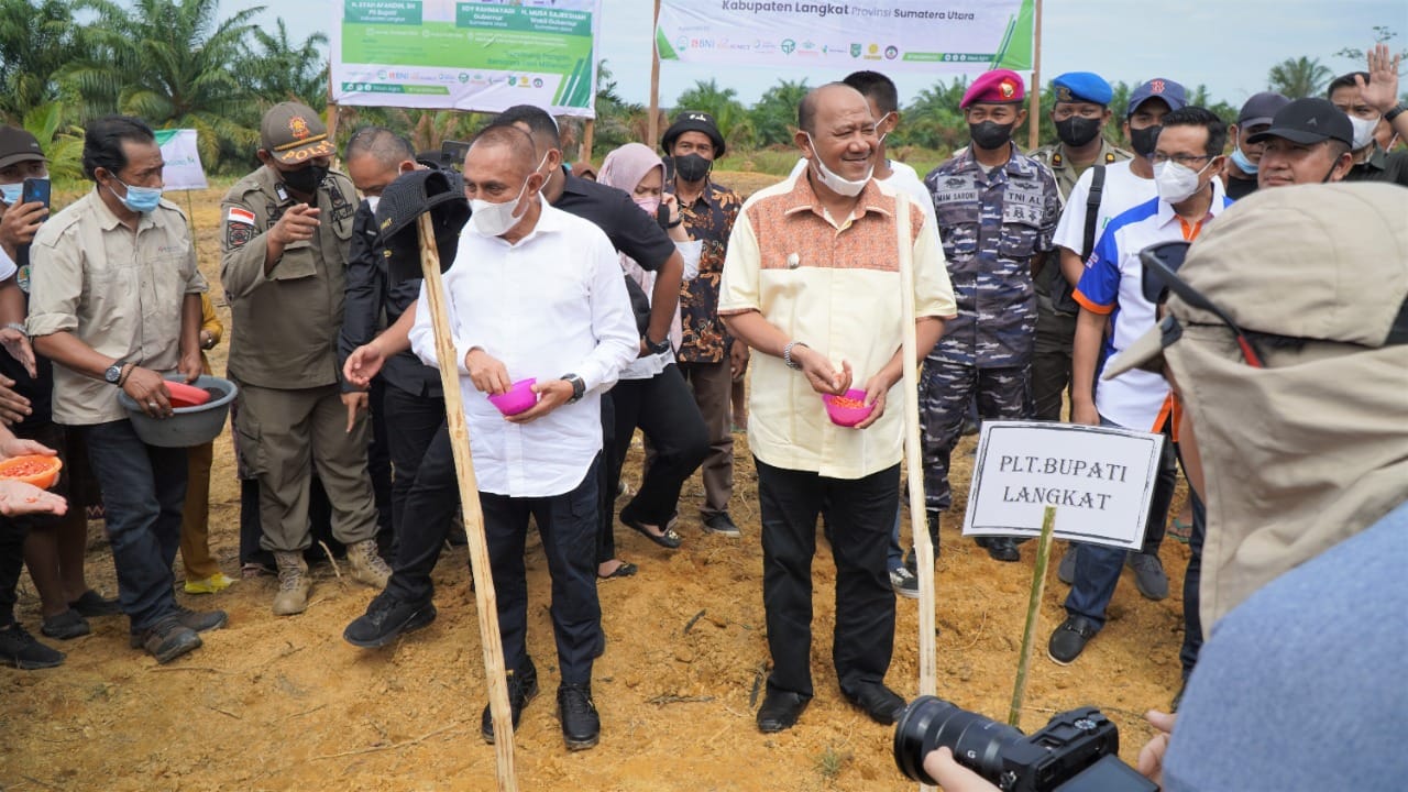 Plt Bupati Langkat bersama Gubsu launching sentra jagung terpadu Plt Bupati Langkat bersama Gubsu launching sentra jagung terpadu