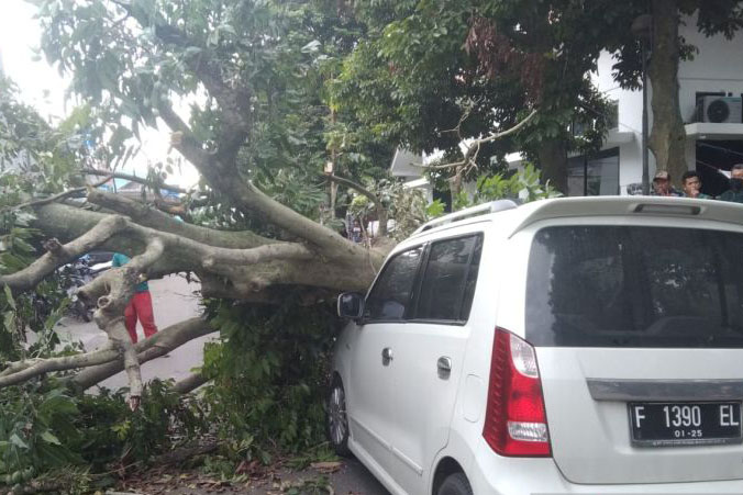 BPBD: Pohon tumbang timpa satu mobil di Jalan MA Salmun Bogor BPBD: Pohon tumbang timpa satu mobil di Jalan MA Salmun Bogor