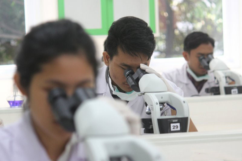 Bakteri yang resisten terhadap antibiotik ditemukan di Antartika Bakteri yang resisten terhadap antibiotik ditemukan di Antartika
