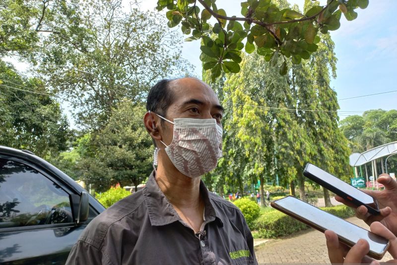 Pengelola beri makanan ketupat pada hewan di Taman Margasatwa Ragunan