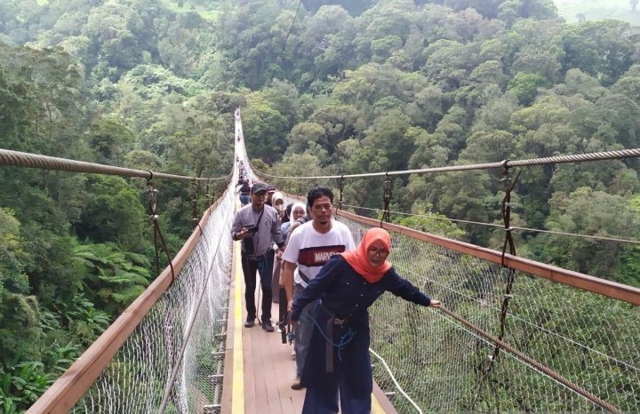 Jembatan Rengganis tawarkan sensasi melayang dengan pemandangan kawah