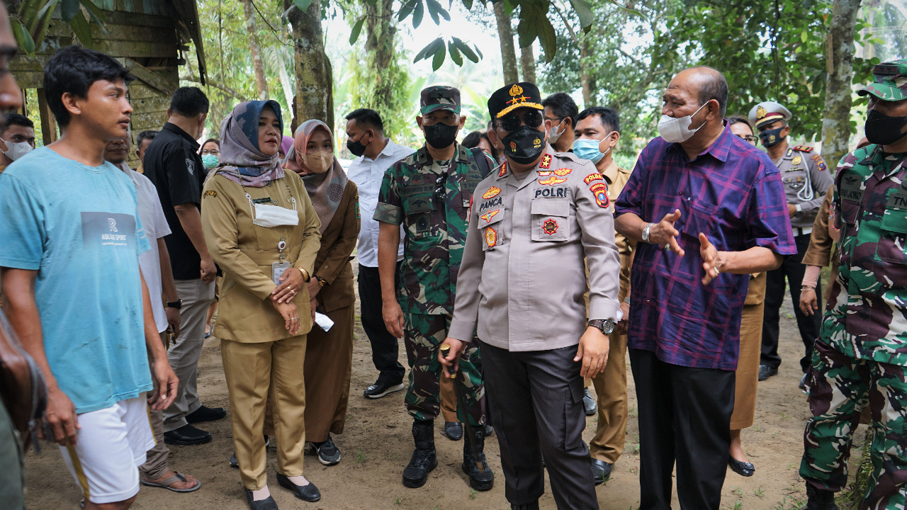Sebanyak 1.504 ekor sapi di Langkat terpapar PMK Sebanyak 1.504 ekor sapi di Langkat terpapar PMK