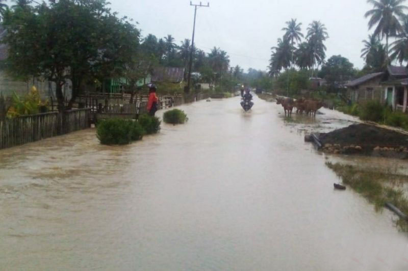 Sebanyak 3.570 warga terdampak banjir di Desa Pinamula Kabupaten Buol