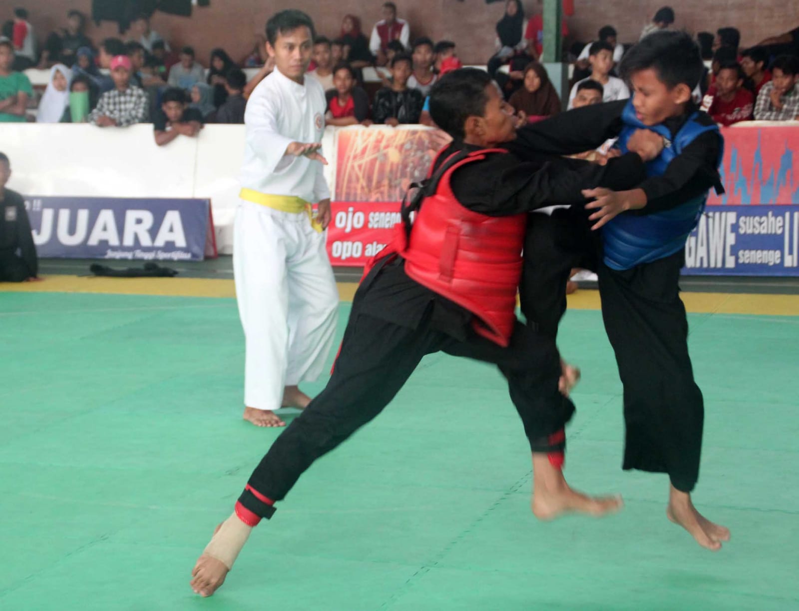 159 pesilat akan berlaga di Kejuaraan Pencak Silat Kota Semarang