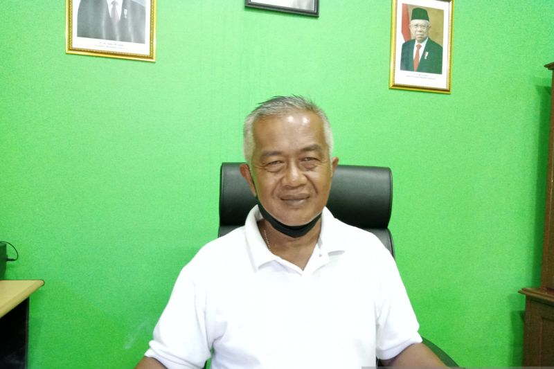 Belum ada hewan ternak terjangkit penyakit kuku dan mulut di Belitung