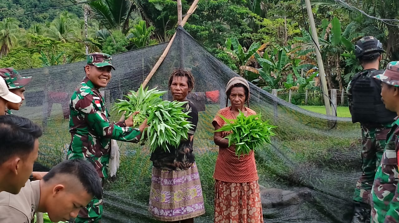 Satgas Yonif 126/KC bantu panen kangkung warga perbatasan Satgas Yonif 126/KC bantu panen kangkung warga perbatasan