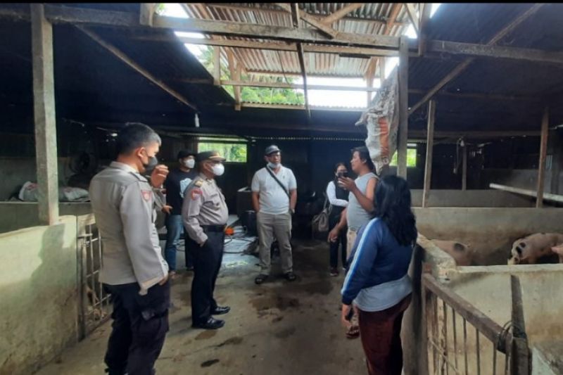 Polres Samosir antisipasi masuknya wabah PMK