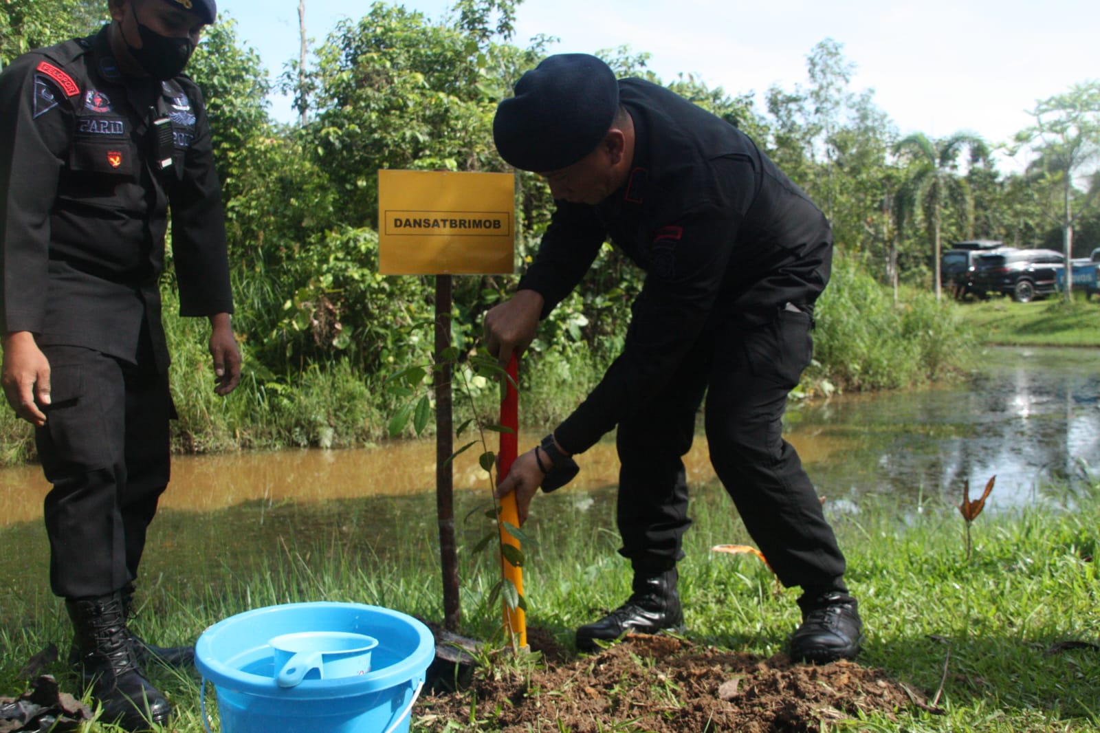 Jelang HUT ke 77, Satbrimob Polda Kaltim lakukan penanaman 7.500 pohon Jelang HUT ke 77, Satbrimob Polda Kaltim lakukan penanaman 7.500 pohon