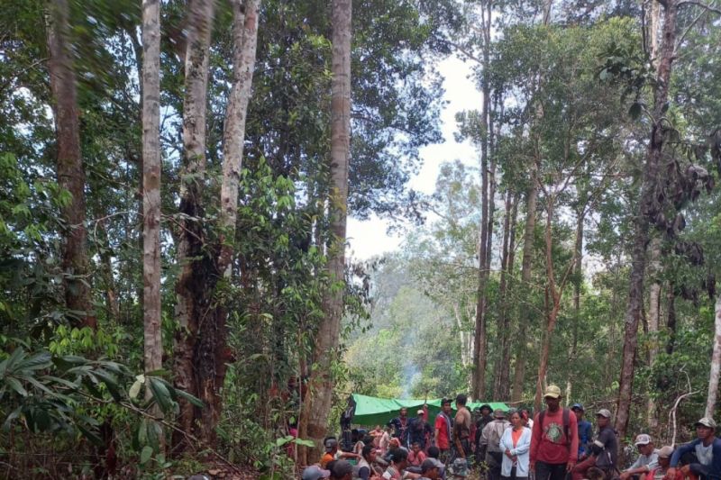 Tim hentikan pencarian terhadap Alwi di hutan perbatasan RI-Malaysia Tim hentikan pencarian terhadap Alwi di hutan perbatasan RI-Malaysia