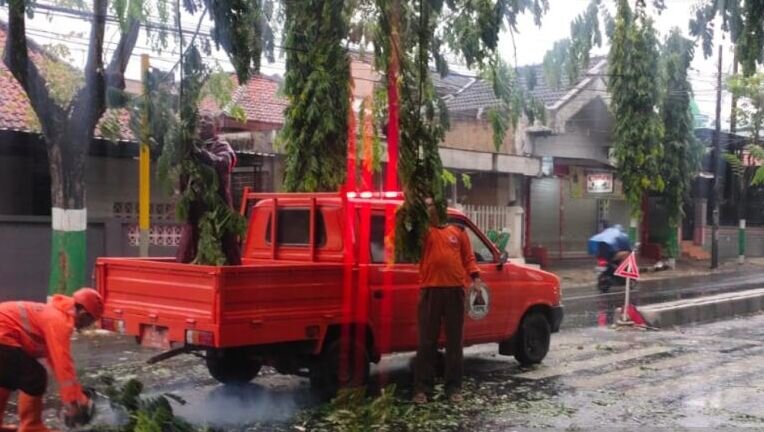 Angin kencang putus jaringan listrik di Pamekasan Angin kencang putus jaringan listrik di Pamekasan