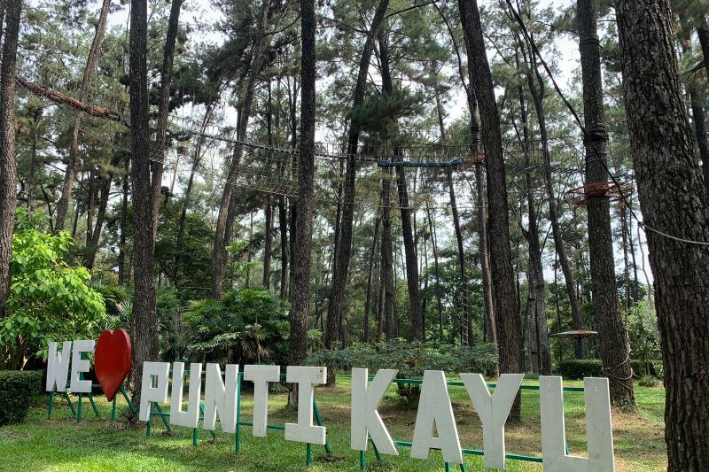 Taman wisata alam Puntikayu terus tingkatkan pengunjung Taman wisata alam Puntikayu terus tingkatkan pengunjung