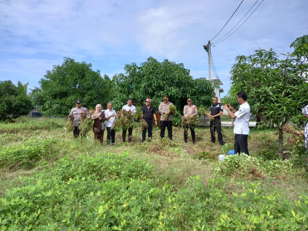 Program ketahanan pangan, Kapolres dan Wabup Pidie Jaya panen kacang tanah Program ketahanan pangan, Kapolres dan Wabup Pidie Jaya panen kacang tanah