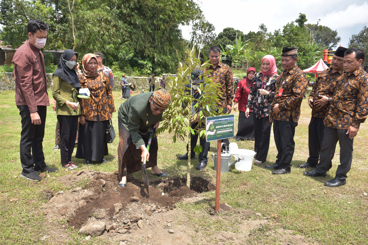 Bupati Boyolali tanam pohon produktif di lereng Merapi