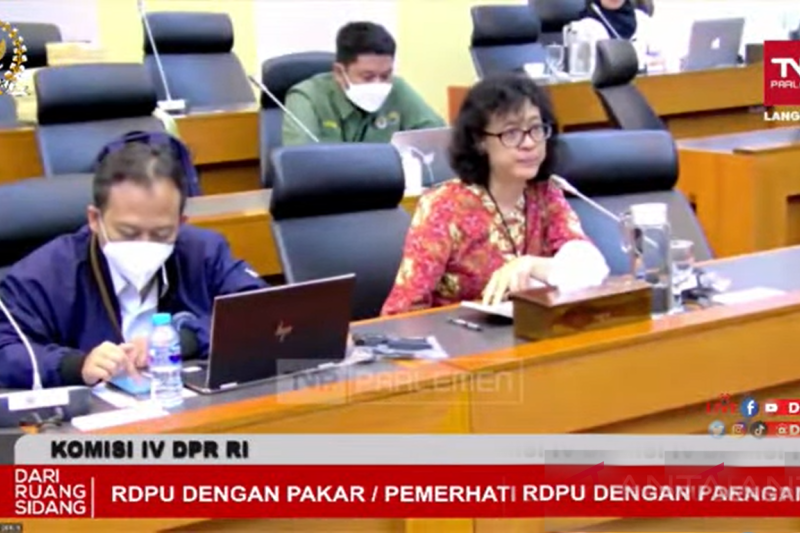 KLHK: Tutupan hutan di Indonesia melebihi target KLHK: Tutupan hutan di Indonesia melebihi target
