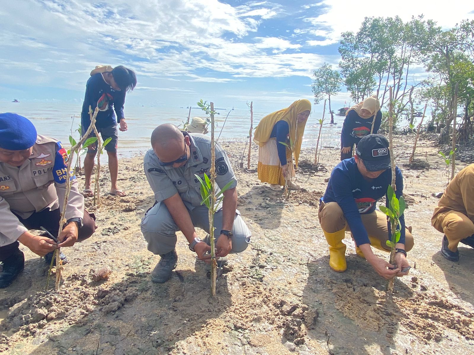 Stasiun Bakamla Babel tanam 3.000 batang mangrove di Pantai Batu Belubang Stasiun Bakamla Babel tanam 3.000 batang mangrove di Pantai Batu Belubang