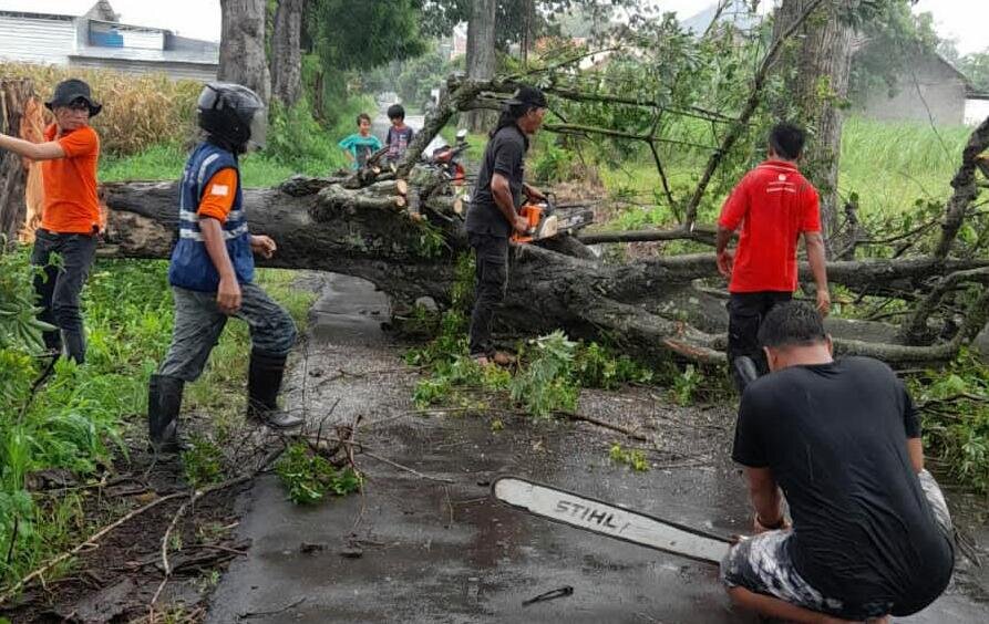 Hujan dan angin kencang landa Kudus, pohon bertumbangan Hujan dan angin kencang landa Kudus, pohon bertumbanganÂ