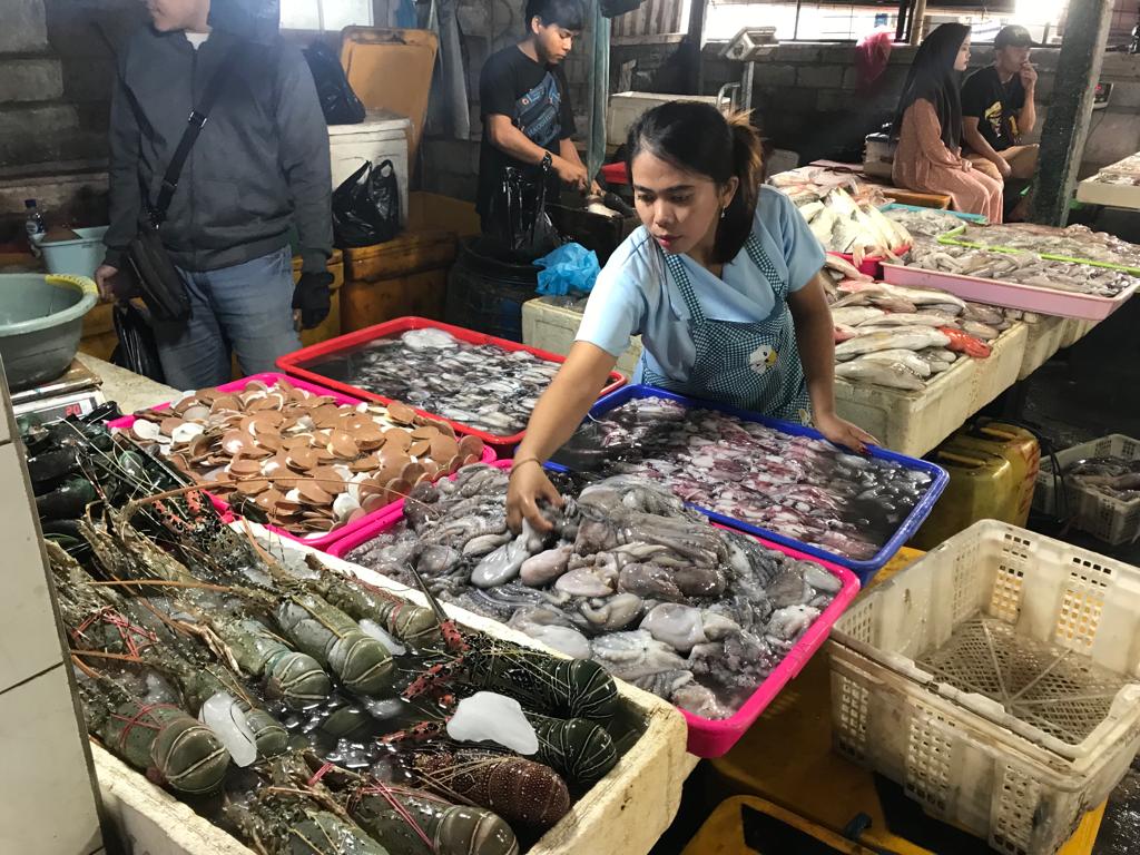 YKAN dukung perikanan berkelanjutan di Indonesia YKAN dukung perikanan berkelanjutan di Indonesia