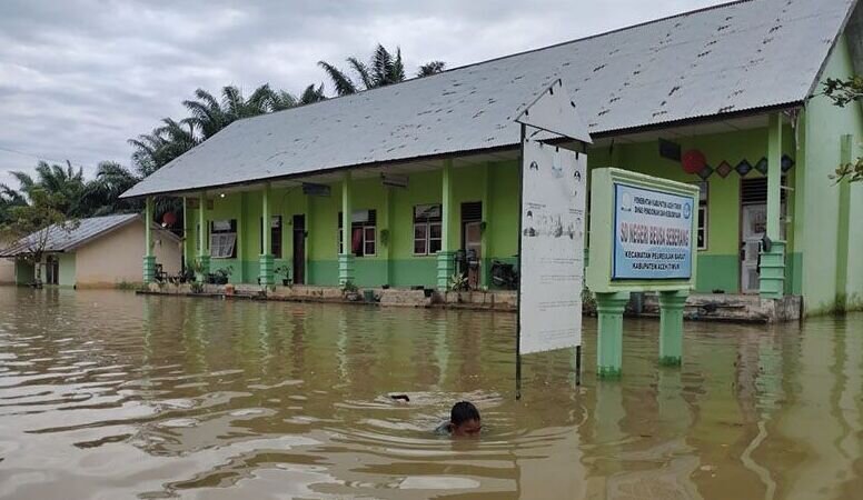 Pemkab catat sebanyak 41 sekolah di Aceh Timur terendam banjir Pemkab catat sebanyak 41 sekolah di Aceh Timur terendam banjir