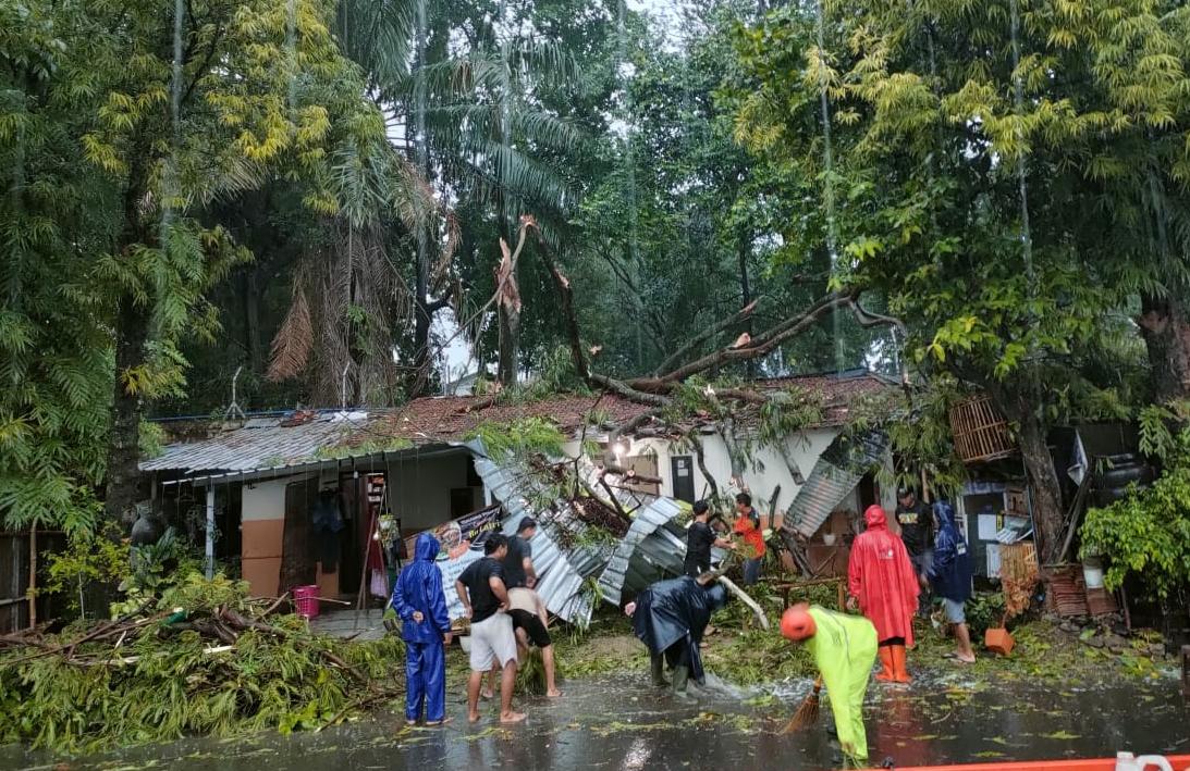 Angin kencang, rumah dan bengkel di Kudus tertimpa pohon tumbang Angin kencang, rumah dan bengkel di Kudus tertimpa pohon tumbang