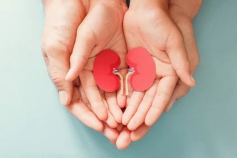 Dokter sebut semua penyakit anak berisiko sebabkan gangguan ginjal Dokter sebut semua penyakit anak berisiko sebabkan gangguan ginjal