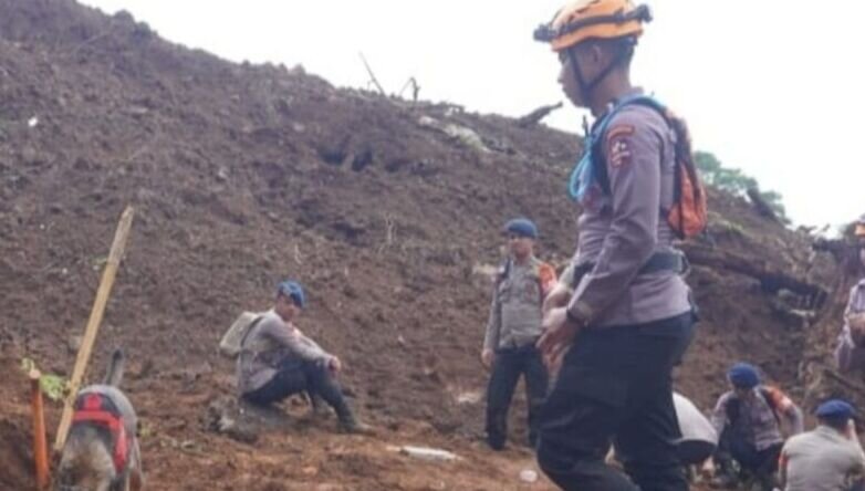 Sepuluh ekor anjing pelacak K9 dikerahkan cari korban longsor Cianjur