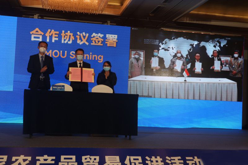 China buka kesempatan Indonesia tingkatkan ekspor produk pertanian