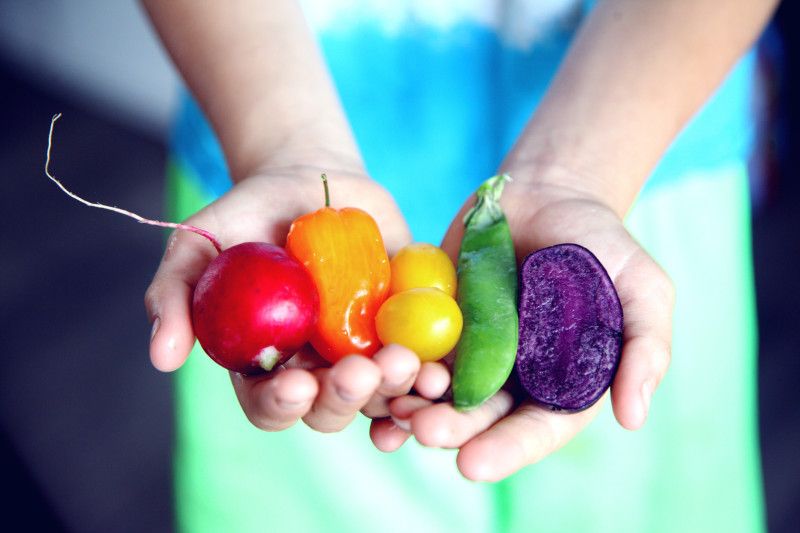Dokter sebut kecerdasan anak juga ditentukan oleh asupan nutrisi Dokter sebut kecerdasan anak juga ditentukan oleh asupan nutrisi