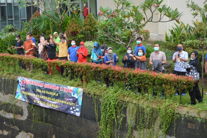 RSUD Sleman tebar benih ikan lestarikan keanekaragaman hayati