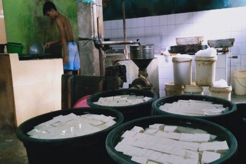 Perajin tahu Kulon Progo perkecil ukuran siasati harga kedelai