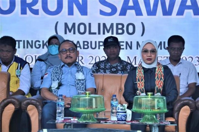 Bantuan pertanian Rp20 miliar pemerintah diserahkan ke petani Mamuju