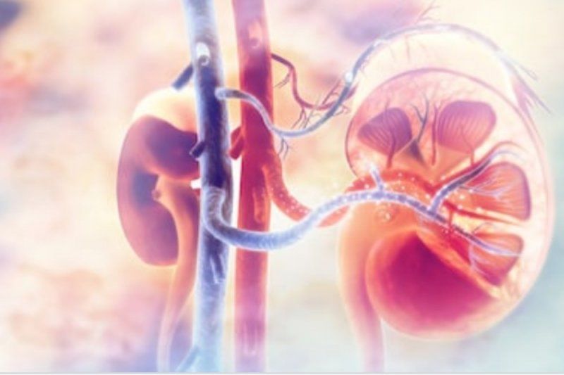Dinkes Sultra akui tiga anak meninggal diduga gangguan ginjal akut Dinkes Sultra akui tiga anak meninggal diduga gangguan ginjal akut