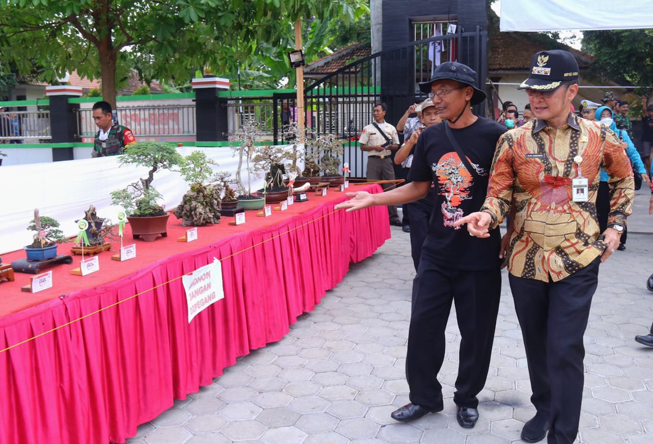 Pameran bonsai meriahkan kegiatan TMMD di Desa Terban Kudus Pameran bonsai meriahkan kegiatan TMMD di Desa Terban Kudus