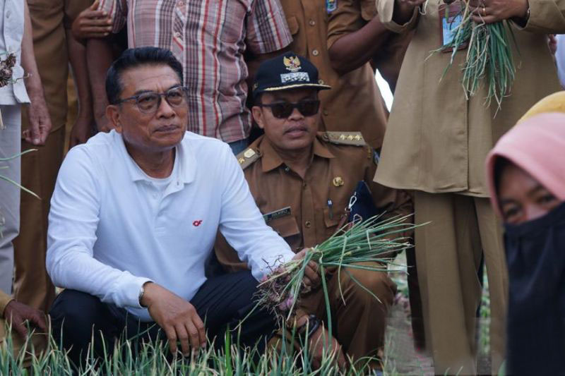 KSP: Stok bawang di Bima penting untuk kendalikan inflasi nasional KSP: Stok bawang di Bima penting untuk kendalikan inflasi nasional