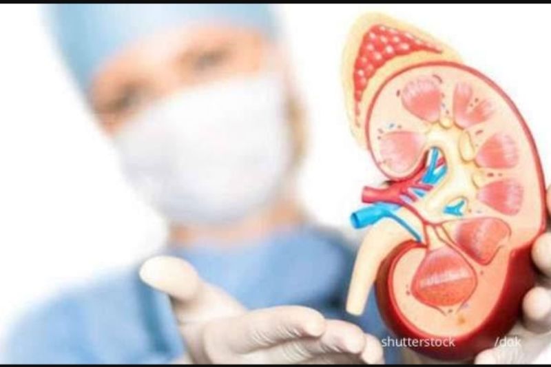 Dokter: Monitor minimal 14 hari untuk deteksi gangguan ginjal akut Dokter: Monitor minimal 14 hari untuk deteksi gangguan ginjal akut