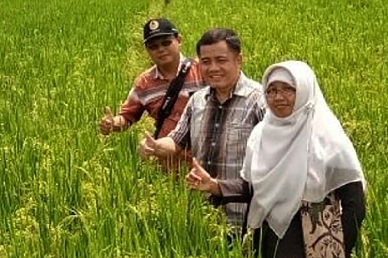 Pakar pertanian ajak masyarakat berkontribusi dalam ketahanan pangan Pakar pertanian ajak masyarakat berkontribusi dalam ketahanan pangan