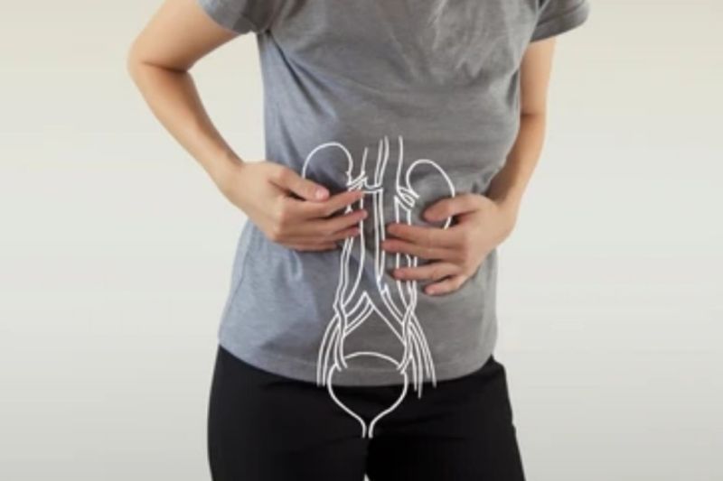 Konsumsi protein berlebihan bisa sebabkan masalah ginjal Konsumsi protein berlebihan bisa sebabkan masalah ginjal