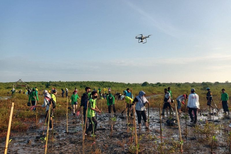Pemkot Probolinggo cegah perubahan iklim dengan konservasi mangrove Pemkot Probolinggo cegah perubahan iklim dengan konservasi mangrove