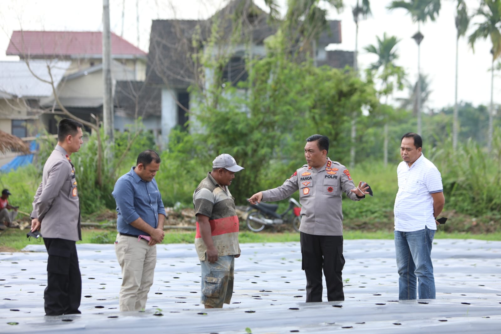Kapolda Sumut gagas perkebunan cabai dan bawang di lahan tidur Kapolda Sumut gagas perkebunan cabai dan bawang di lahan tidur