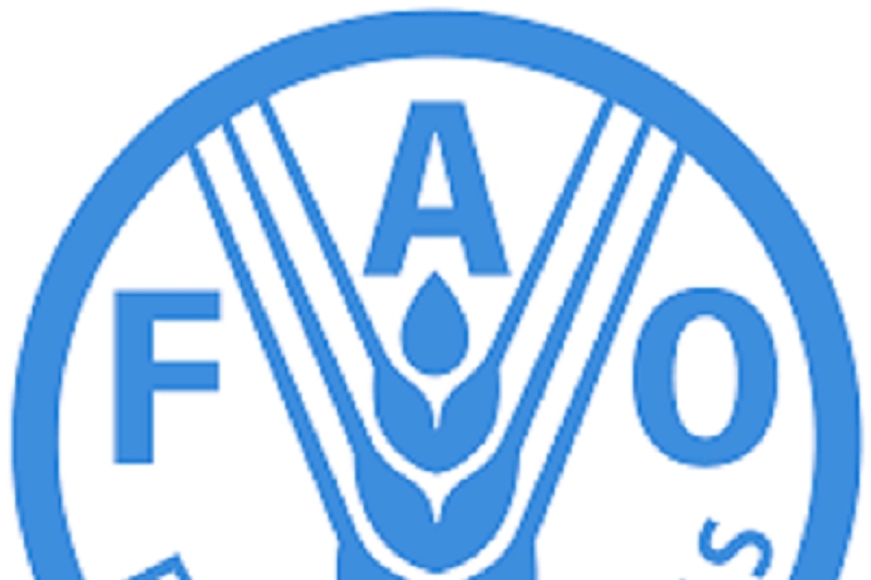 FAO harap Indonesia ajak negara G20 kolaborasi atasi kelaparan