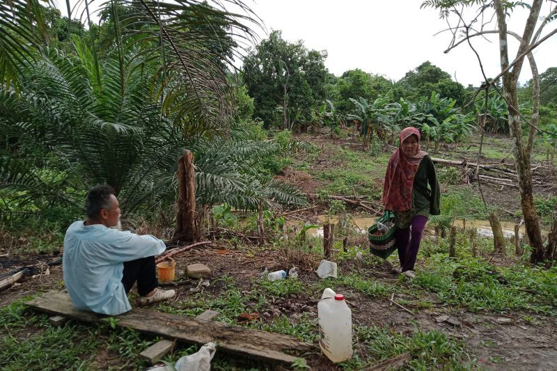 Melindungi Suku Balik di Ibu Kota Nusantara Melindungi Suku Balik di Ibu Kota Nusantara