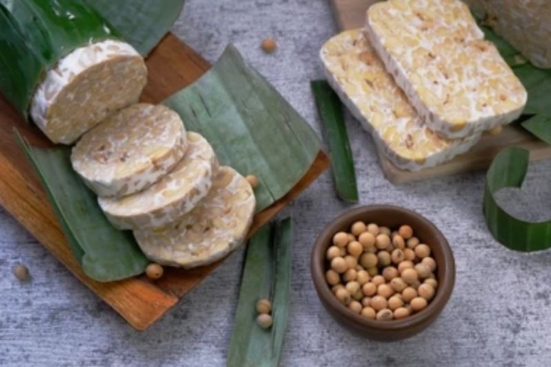 Tempe disebut makanan super karena kandungan prebiotik dan probiotik