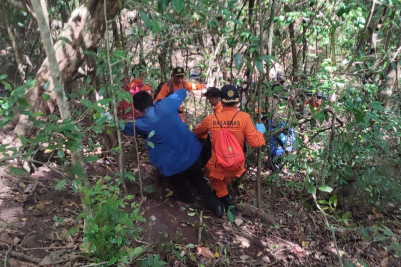 Tim SAR gabungan evakuasi korban hilang di hutan Lombok Timur 